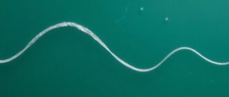 Волновой анализ Эллиотта: основы теории и путь к навыку чтения рынка