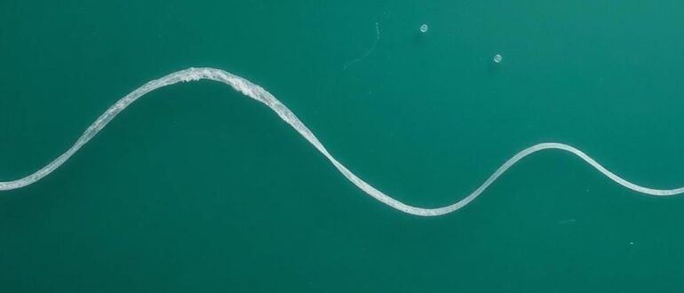 Волновой анализ Эллиотта: основы теории и путь к навыку чтения рынка